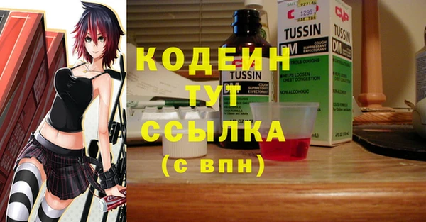 ГАЛЛЮЦИНОГЕННЫЕ ГРИБЫ Ладушкин