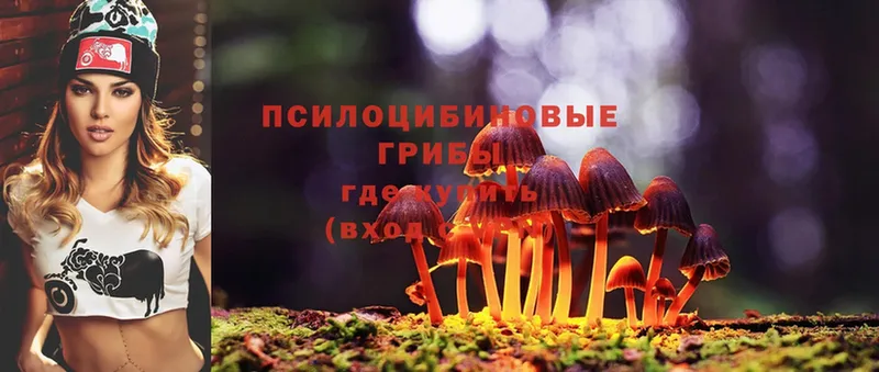 Псилоцибиновые грибы Magic Shrooms  маркетплейс клад  Мичуринск 