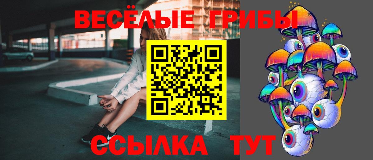 Псилоцибиновые грибы GOLDEN TEACHER  где продают наркотики  Мичуринск  Вход с VPN 